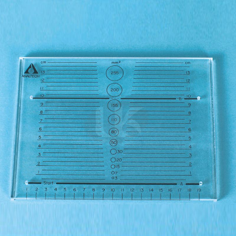 TLC Spotting Guide / TLC 스포팅 가이드